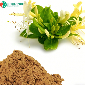 Bột chiết xuất hoa kim ngân chất lượng cao giá tốt, hàm lượng acid chlorogenic 5%, chiết xuất Lonicera - Product Image 3