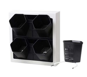 Marco <span class=keywords><strong>de</strong></span> fotos <span class=keywords><strong>de</strong></span> plantas <span class=keywords><strong>de</strong></span> <span class=keywords><strong>plástico</strong></span> montado en la pared ecológico, maceta, decoración interior y exterior, pared <span class=keywords><strong>de</strong></span> planta tridimensional Simple - Product Image 1