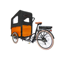 Vélo électrique à trois roues pour adultes, 250W 36V, fabriqué en Chine, avec de grands sièges passager, 20 pouces, vente chaude