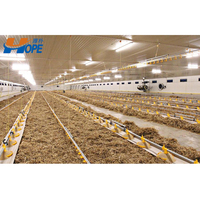 Cobertizo de granja avícola de pollo de engorde de acero prefabricado de diseño de bajo precio para 10000 pollos