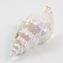 SKU-1