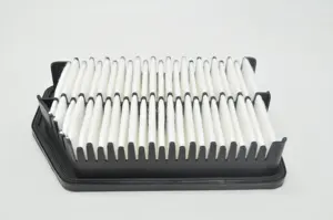 उच्च गुणवत्ता वाले पीपी इंजेक्शन एयर फिल्टर कोरियन कार मॉडल i30 कस्टम पैकेजिंग नई स्थिति-पेपर सामग्री 28113-a0200 28113-3-3x000 - Product Image 5