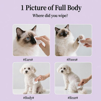 Lingettes humides pour animaux de compagnie avec élimination des odeurs et inhibition bactérienne, nettoyage des yeux, élimination des taches de larmes, sans rinçage, portables, pour chats et chiens