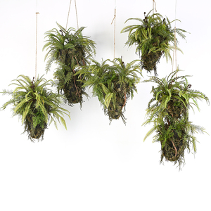 2020 Nouveau Design Grand silicium Jungle Fougère suspendus planteur avec plante artificielle - Product Image 2