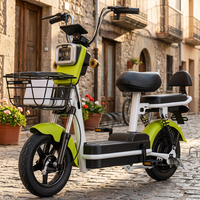 Nouveau vélo électrique à deux roues pour adultes, norme nationale - Approvisionnement transfrontalier direct d'usine
