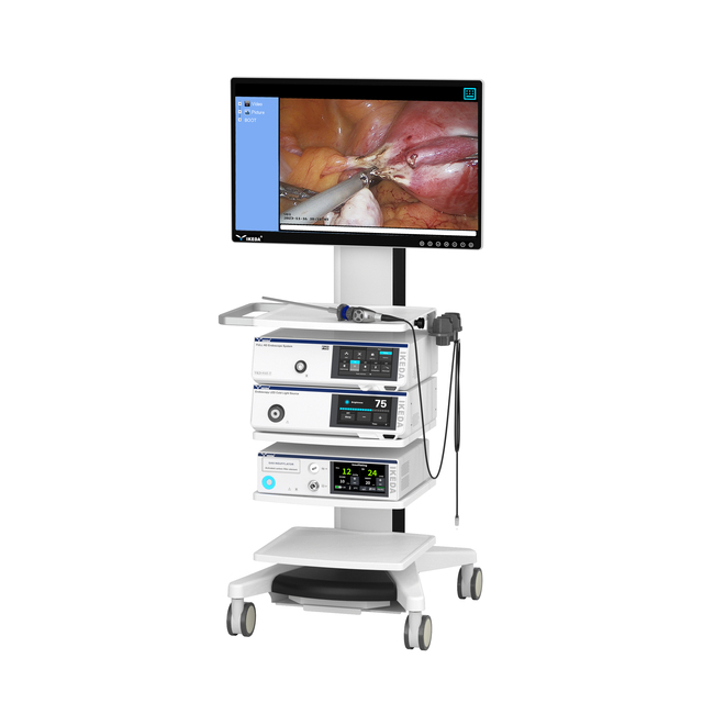 FHLL HD 1/2.3'' CMOS Surgical Laparoscopy Endoscope Camera Medical Imaging Equipment for ENT Video Endoscopic Imaging