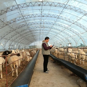 Sheep Feeding Trough and <strong>Hay</strong> <strong>Rack</strong>, Galvanized Steel Design for Group Feeding Management - Product Image 4