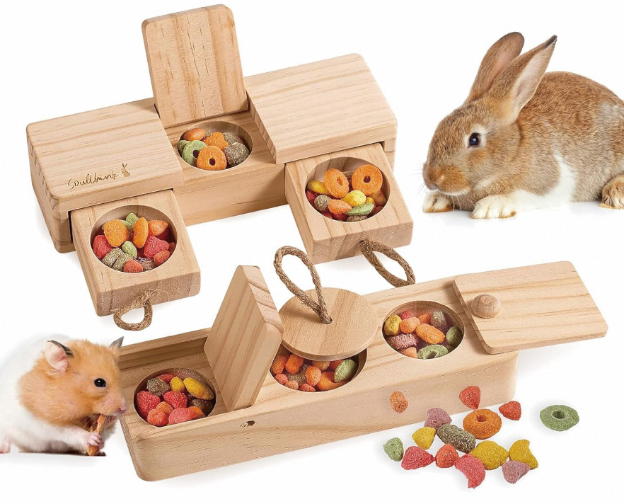 Sniff n' Snack - Beginner