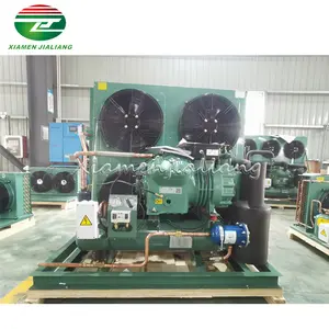 Xiamen Jialiang Beautiful 15/20/25/30/35/40hp Air Cooled Refrigeration Compressor Condensing Unit for cold room