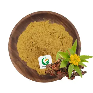 Frutierco Supply Natural Water Soluble Rhodiola Rosea Extract 6% Salidroside rhodiola crenulata extract