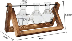 Terrario de Escritorio para Plantas Aéreas con Base de Madera Sólida y Florero de Vidrio para Propagación de Plantas - Product Image 4