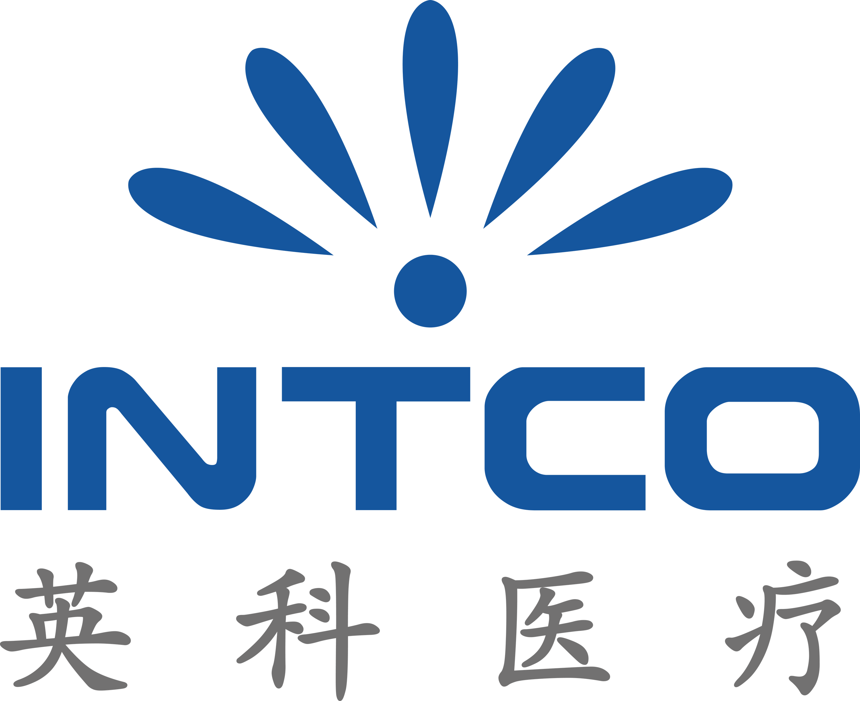 Jiangsu Intco Medical Products Co., Ltd.
