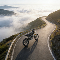 Vélo Électrique Urbain de Loisirs pour Adultes 2026 Ultra Bee 24500W Sur Ron Ebike sur SUR-RON Ultra Bee E-Bike
