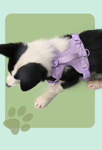 Arnés para Perro Personalizado al por Mayor <span class=keywords><strong>2026</strong></span>, Ajustable, Ligero, Impermeable, con <span class=keywords><strong>Collar</strong></span> y Correa de Goma Suave para Todas las Estaciones - Product Image 6