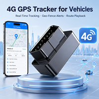 Rastreador Vehicular 4G LTE Impermeable con GPS en Tiempo Real, Posicionamiento Wi-Fi Beidou para Seguridad de Activos y 1 Año de Garantía
