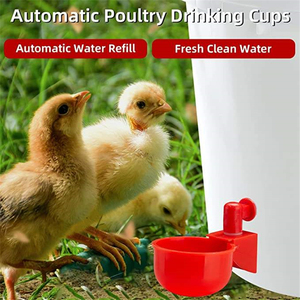 Abreuvoir automatique pour volailles, économiseur d'eau, de haute qualité, pour poulets et poussins - Product Image 5