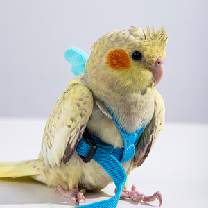 Correa para Loros para Uso en Exteriores, Segura para las Patas y Evita la <span class=keywords><strong>Escape</strong></span> Durante el <span class=keywords><strong>Vuelo</strong></span>, Correa para Interacción y Entrenamiento de Loros - Product Image 2
