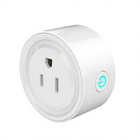 Adaptor Soket Daya Rumah Pintar WiFi 10A/16A Kompatibel dengan Alexa Google Home, Kontrol Jarak Jauh PC, Timer, Colokan US