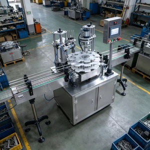 Machine de scellage compacte à tête unique pour aliments pour animaux, sodas, bières – Scelleuse automatique de boîtes de conserve pour petites productions - Product Image 3