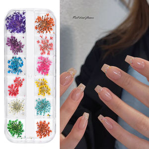 <span class=keywords><strong>Flores</strong></span> <span class=keywords><strong>Secas</strong></span> para Decoración de <span class=keywords><strong>Uñas</strong></span>, 12 Colores, <span class=keywords><strong>Flores</strong></span> <span class=keywords><strong>Secas</strong></span> Mini, <span class=keywords><strong>Flores</strong></span> Naturales Reales, Apliques 3D para <span class=keywords><strong>Uñas</strong></span>, Adhesivos Decorativos para <span class=keywords><strong>Uñas</strong></span> - Product Image 2