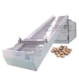 Secador de malla continuo para hongos de alta capacidad OEM para procesamiento de vegetales y secado de hongos - Product Image 1