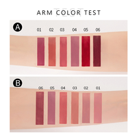 Usine En Gros Hydratant Maquillage Étanche Liquide Rouge À Lèvres Kit Marque Privée Personnalisé Vegan Brillant À Lèvres Rouge À Lèvres Ensemble 2.5g * 6