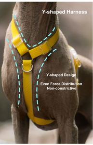 Arnés de perro en forma de Y recubierto de PVC impermeable de moda de lujo duradero Simple moderno reflectante personalizado accesorio para mascotas OEM - Product Image 3