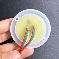 Module de pixels LED RGB SMD5050 IC 16703, lumière de pixel programmable, DC12V, étanche, lumière publicitaire extérieure
