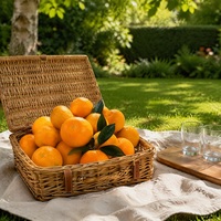 Oranges de Valence fraîches de qualité supérieure en provenance de Chine avec une durée de conservation de 2 ans