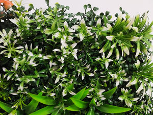 Paneles de valla de cobertura de césped <span class=keywords><strong>artificial</strong></span> alto para exteriores espiral de plástico boj hojas de pino flores pared verde para ocasión de boda - Product Image 4