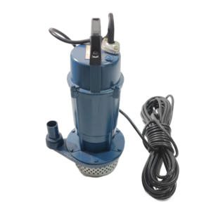 Promotion <span class=keywords><strong>Pompe</strong></span> Submersible QDX 1 CV, <span class=keywords><strong>Pompe</strong></span> à Eau Électrique 1 CV, <span class=keywords><strong>Pompe</strong></span> <span class=keywords><strong>Immergée</strong></span> <span class=keywords><strong>avec</strong></span> Interrupteur à Flotteur - Product Image 4