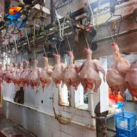 Ligne complète d'abattage de volailles, capacité 500-5000 poulets par heure