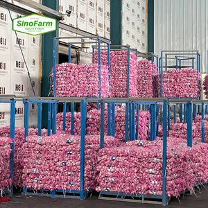 New Crop Fresh Garlic Normal White Pure White Green Vegetables from China Export Spain Indonesia