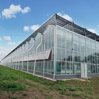 Serre agricole tunnel de 7,5 m de haute qualité, à faible coût, avec verre trempé et structure en acier galvanisé à chaud