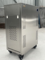 Chaudière à vapeur automatique pour la transformation alimentaire, économie d'énergie et protection de l'environnement, générateur de vapeur en acier inoxydable