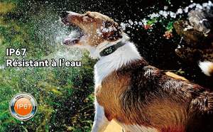 Nuevo recargable ecológico IP67 clasificado impermeable sin golpes automático perro <span class=keywords><strong>Control</strong></span> de ladridos Collar 5 niveles de sensibilidad perros - Product Image 6