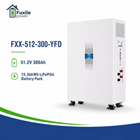 Batterie LiFePO4 sur pied 15,36 kWh 51,2 V 300 Ah avec connexion latérale facile, plus de 6000 cycles, jusqu'à 16 unités parallèles