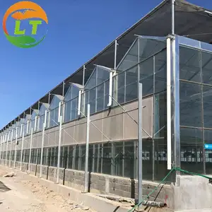 Invernaderos de vidrio seguros con sistema de control inteligente