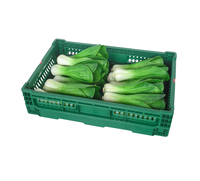 Caisse en plastique pliable en gros 600*400*140 MM, verte, durable, empilable, type maille, pour utilisation à la ferme, panier pliable