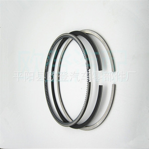 Nous Fournissons de Nouvelles Segments de Piston en Fonte et en Acier Terracan 43014 et 42042 Compatibles avec les Voitures Fiat (97.1+2.0/2.0/3.0) - Product Image 4