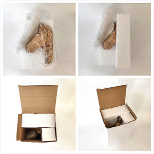Gold <strong>Unicorn</strong> Resin Animal Head Wall <strong>Decor</strong> Ready to Hang 14.5 Inches - Product Image 6