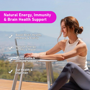 Best Seller Mushroom Powder Includes Lions Mane Reishi Chaga Great for Adults with Busy Active Adaptofen Dietary Antioxidantst - Product Image 4