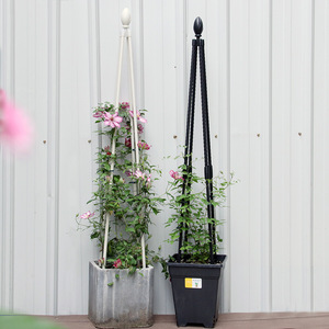 Cage de Support des plantes sous forme de Cage, plantes, accessoire pratique pour le jardinage, les tomates, tuyaux en treillis, jardinage - Product Image 1