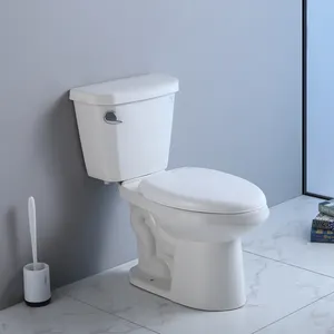 Foshan New Arrival Hotel Cheap Modern Cheap Mini Floor Bathroom Wc Products High White Ceramic S Trap 2 Two Piece Toilet Bowl