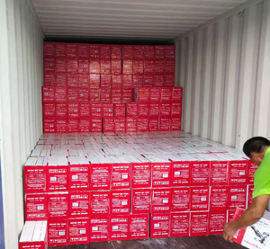 <span class=keywords><strong>Levadura</strong></span> de Panadero Orgánica 500g, <span class=keywords><strong>Levadura</strong></span> <span class=keywords><strong>Seca</strong></span> <span class=keywords><strong>Instantánea</strong></span> en Polvo para el Mercado Africano - Product Image 4