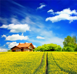 Papel Tapiz de Seda Impermeable con Paisaje Rural, Campo de Flores Amarillas, Cielo <span class=keywords><strong>Azul</strong></span>, Decoración Moderna para Paredes del Hogar, Cafetería, Baño, Fácil de Instalar - Product Image 6