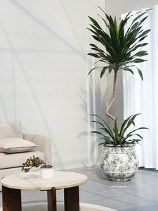 Nouveau <span class=keywords><strong>pot</strong></span> à <span class=keywords><strong>fleurs</strong></span> d'art <span class=keywords><strong>en</strong></span> ciment respirant, fait main, de style chinois antique du <span class=keywords><strong>sud</strong></span>, sur pied, pour salon et jardin, grand format - Product Image 1