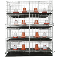 Cage à poulets de type H, conception automatisée pour gagner de la place et améliorer la productivité de la ferme