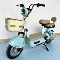 Vélo Électrique OEM ODM Puissant pour Femmes, Vélo Électrique 48V 350W, Vélo Électrique à Pneus Larges 500W, Vélo Électrique Tout-Terrain Urbain
