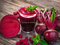 Poudre de racine de betterave rouge séchée par pulvérisation 100 % naturelle en gros, additif alimentaire, directement de l'entrepôt